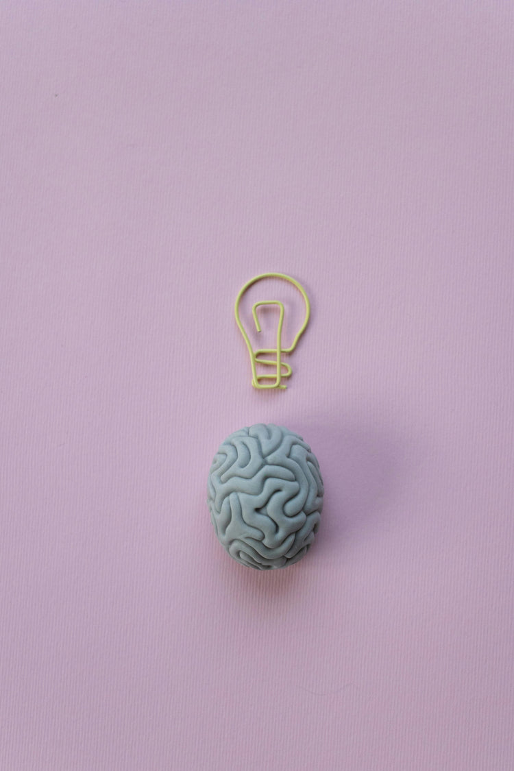 Cognition
